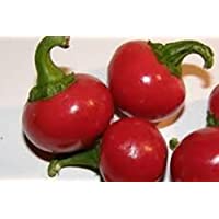 Pimienta- rojo SWEET CHERRY PIMIENTA SEED- orgánico- no-GMO- 20 semillas por sobre- pimientos dulces de cereza rojos…